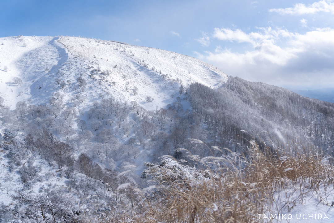 冬季・鉢伏山　１
